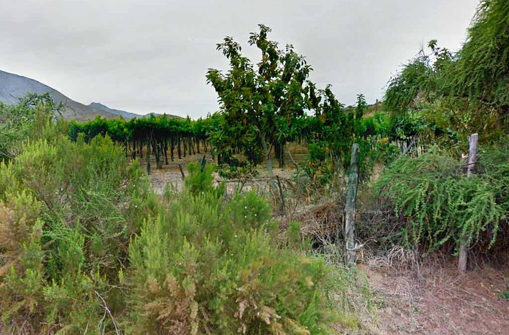 Remate Predios con Derechos de Aguas, Monte Patria, Los Molles