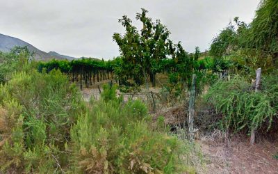 Remate Predios con Derechos de Aguas, Monte Patria, Los Molles