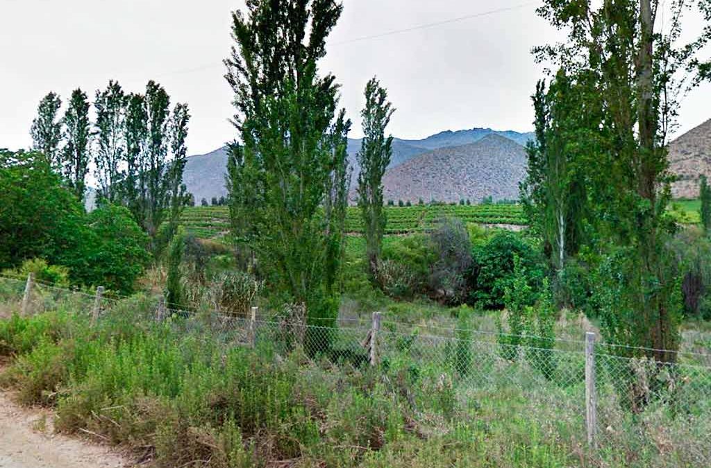 Remate Predios con Derechos de Aguas, Monte Patria, El Manzano