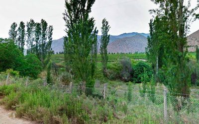 Remate Predios con Derechos de Aguas, Monte Patria, El Manzano