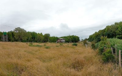 Remate Terreno en Chiloé