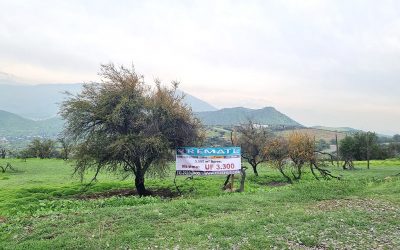 Remate Parcela en Chicureo