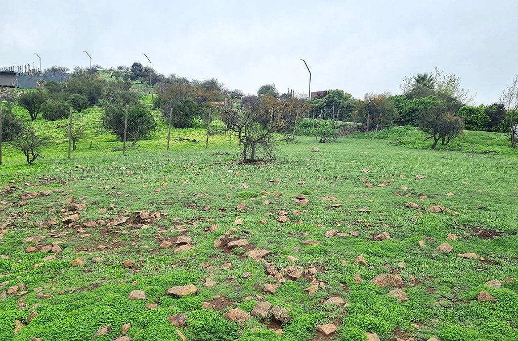 Remate terreno en Chicureo