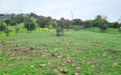 Remate terreno en Chicureo