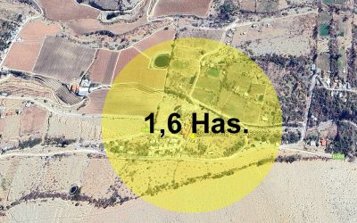 Remate Derechos en Paihuano