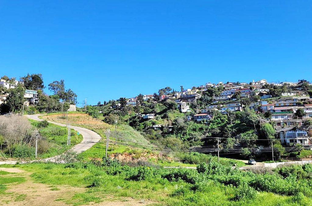 Remate Terreno en Viña del Mar