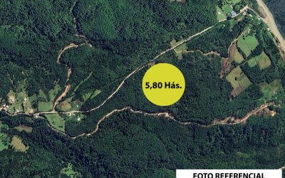 Remate Terreno en Chiloé