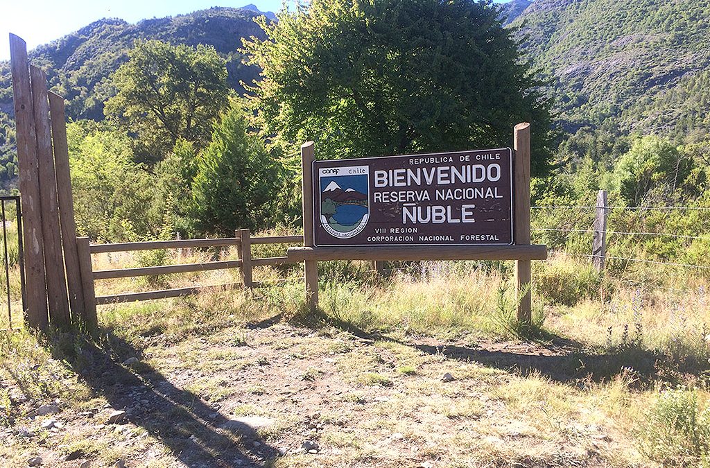 Remate Terreno en Tucapel