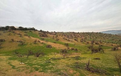 Remate Parcela en Colina