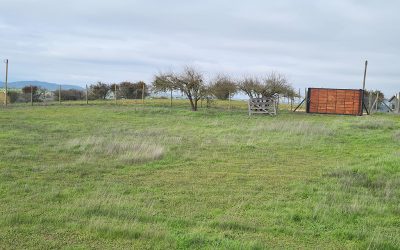 Remate Parcela en La Estrella