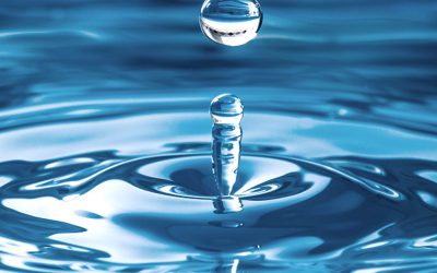 Remate Derechos de Aguas en Talagante
