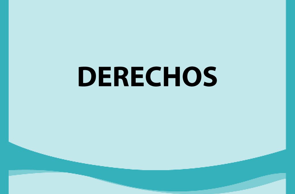 Remate Derechos en Traiguén