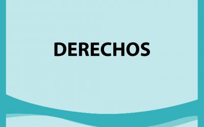 Remate Derechos en Traiguén