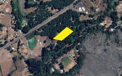 Remate Derechos en Melipeuco