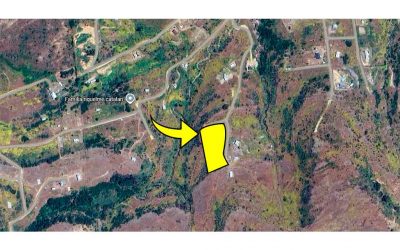 Remate Parcela en Litueche