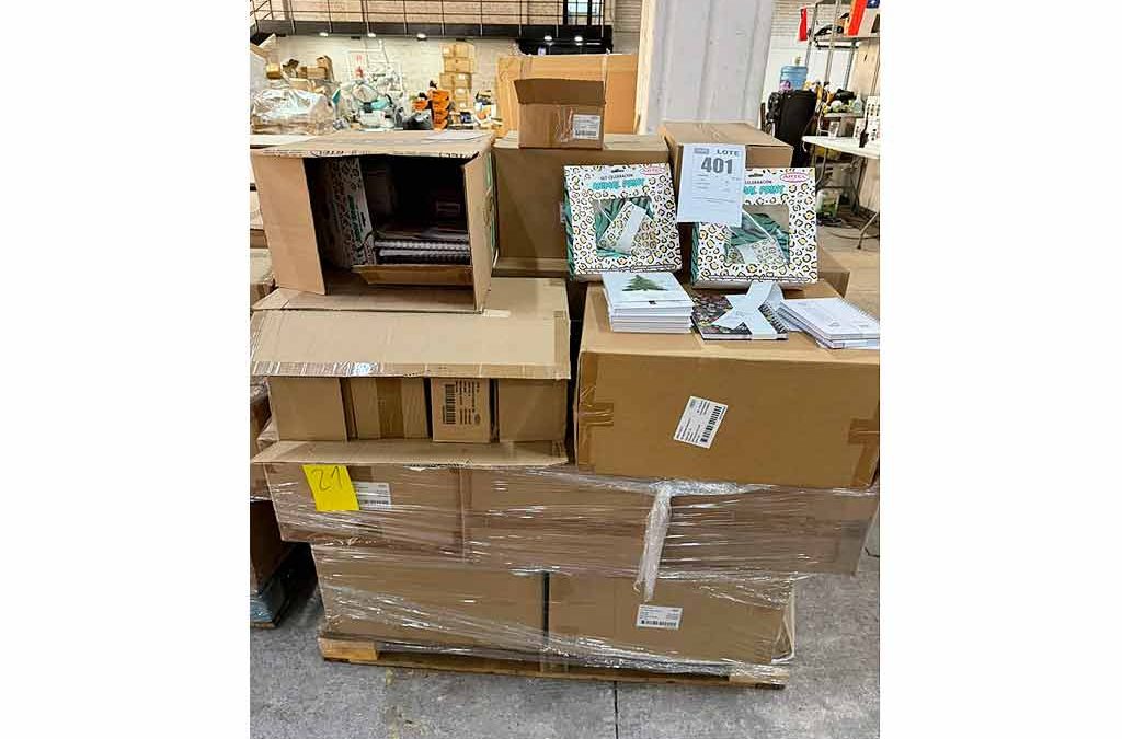 Remate Variedad de bienes CGR Quilicura