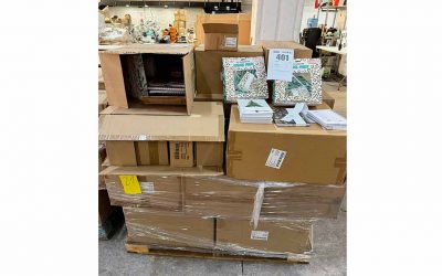 Remate Variedad de bienes CGR Quilicura