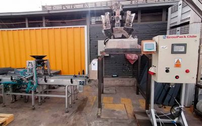 Remate Maquina Multicabezal con Mesa de Envasado y Panel de Control