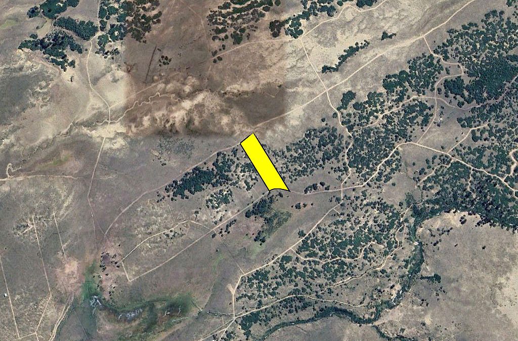 Remate Parcela en Lonquimay