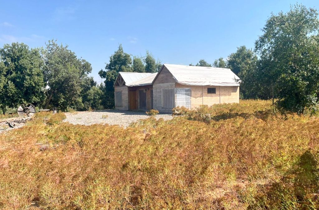 Remate Parcela con Casa en Molina