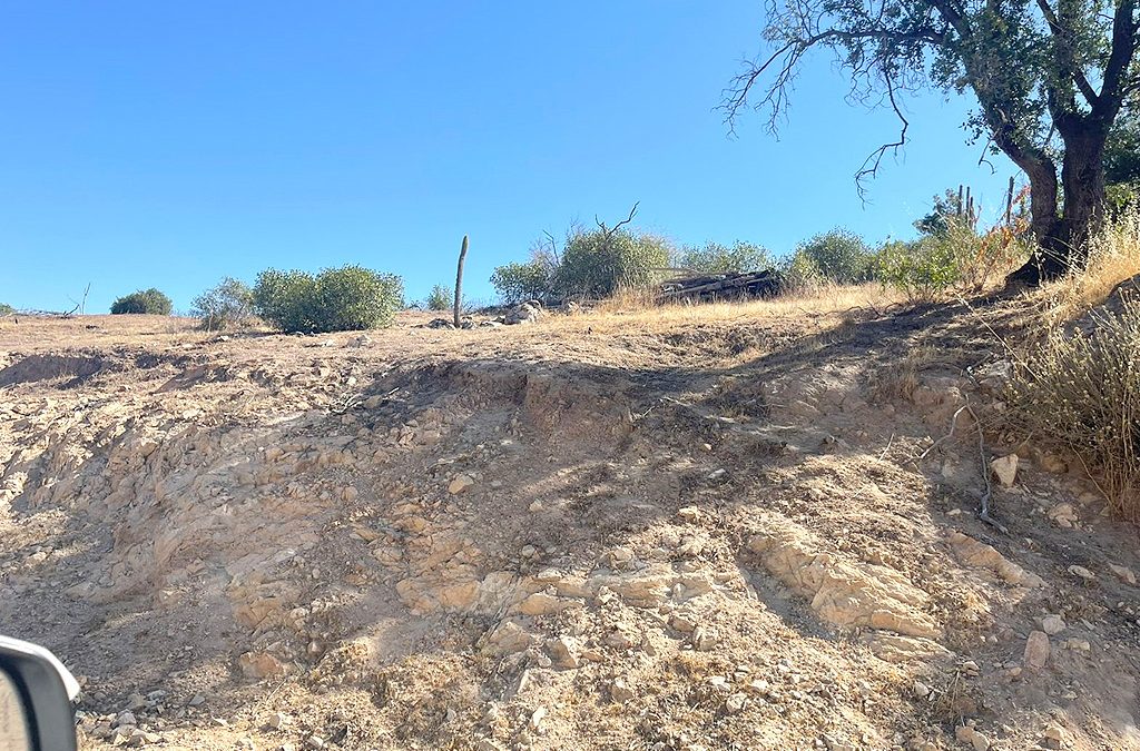 Remate Parcela en CuracavÍ