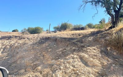 Remate Parcela en CuracavÍ