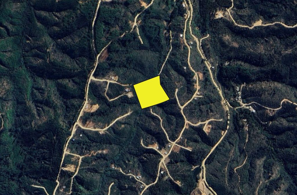 Remate Parcela en Hualañé