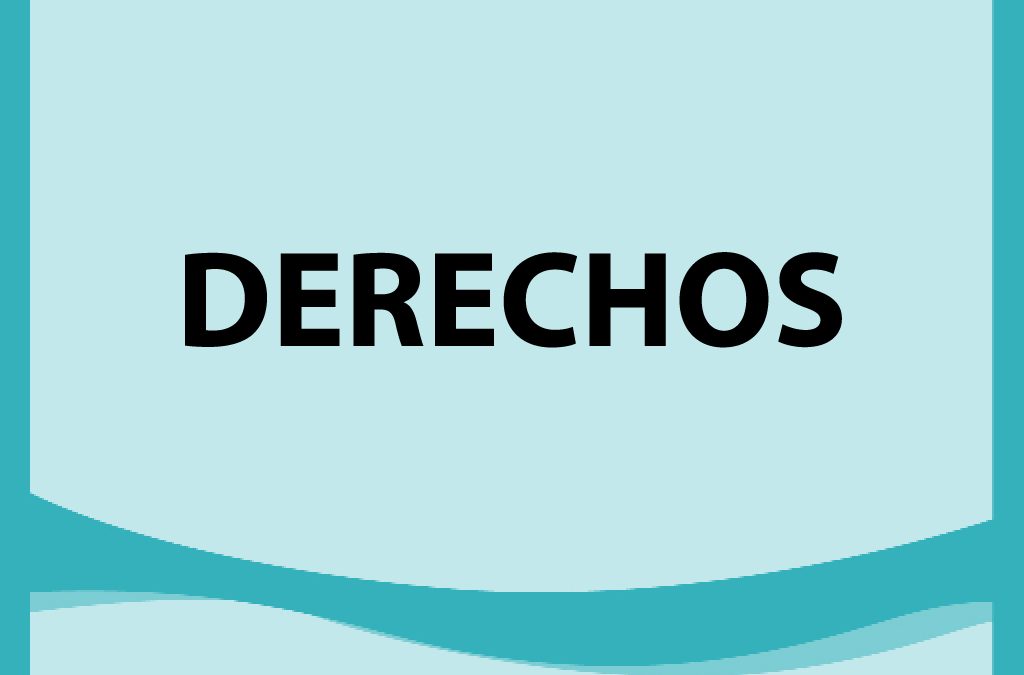 Remate Derechos en Punta Arenas