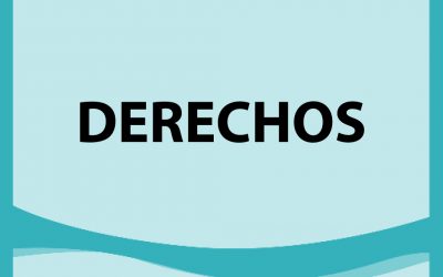 Remate Derechos en Punta Arenas