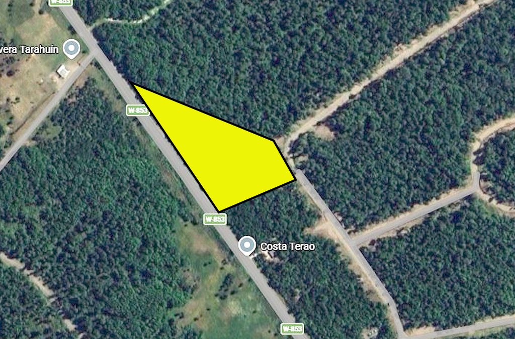 Remate Parcela en Chonchi – Lote 4-B