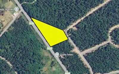 Remate Parcela en Chonchi – Lote 4-B
