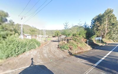 Remate Parcela en Puerto Varas – Sector Los Riscos